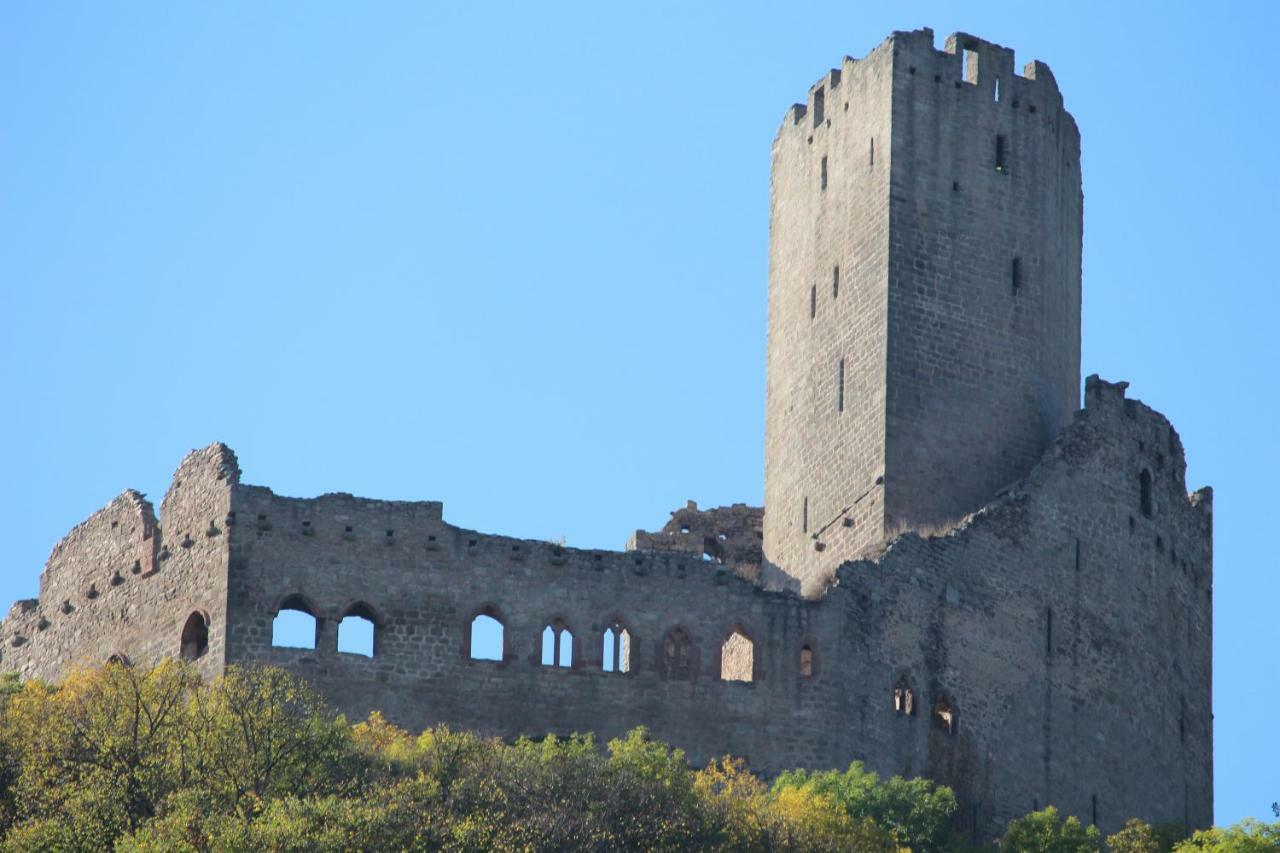 Gite Au Centre De L'Alsace Scherwiller Екстер'єр фото